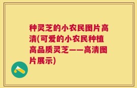 种灵芝的小农民图片高清(可爱的小农民种植高品质灵芝——高清图片展示)