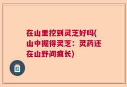 在山里挖到灵芝好吗(山中掘得灵芝：灵药还在山野间疯长)