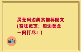灵芝周边美食推荐图文(赏味灵芝：周边美食一网打尽！)
