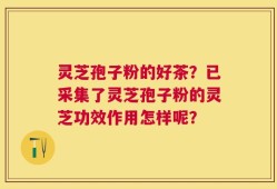 灵芝孢子粉的好茶？已采集了灵芝孢子粉的灵芝功效作用怎样呢？