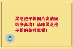 灵芝孢子粉图片高清图纯净高清！品味灵芝孢子粉的美妙享受)