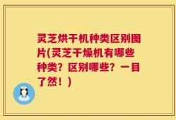 灵芝烘干机种类区别图片(灵芝干燥机有哪些种类？区别哪些？一目了然！)