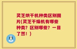 灵芝烘干机种类区别图片(灵芝干燥机有哪些种类？区别哪些？一目了然！)
