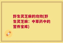 野生灵芝麻的功效(野生灵芝麻：中草药中的营养宝库)