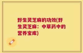 野生灵芝麻的功效(野生灵芝麻：中草药中的营养宝库)