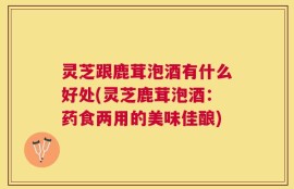 灵芝跟鹿茸泡酒有什么好处(灵芝鹿茸泡酒：药食两用的美味佳酿)