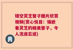 镂空灵芝簪子图片欣赏视频(赏心悦目：镶嵌着灵芝的精美簪子，令人流连忘返)