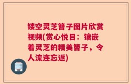 镂空灵芝簪子图片欣赏视频(赏心悦目：镶嵌着灵芝的精美簪子，令人流连忘返)