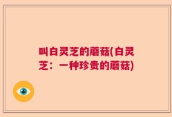 叫白灵芝的蘑菇(白灵芝：一种珍贵的蘑菇)