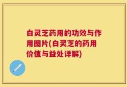 白灵芝药用的功效与作用图片(白灵芝的药用价值与益处详解)
