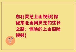 东北灵芝上山视频(探秘东北山间灵芝的生长之路：惊险的上山探险视频)