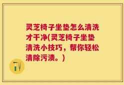 灵芝椅子坐垫怎么清洗才干净(灵芝椅子坐垫清洗小技巧，帮你轻松清除污渍。)