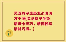 灵芝椅子坐垫怎么清洗才干净(灵芝椅子坐垫清洗小技巧，帮你轻松清除污渍。)