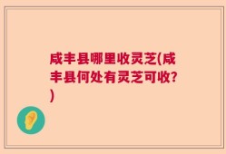 咸丰县哪里收灵芝(咸丰县何处有灵芝可收？)