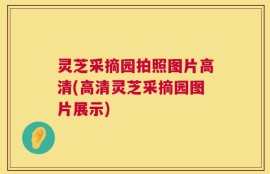 灵芝采摘园拍照图片高清(高清灵芝采摘园图片展示)