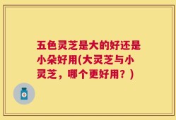 五色灵芝是大的好还是小朵好用(大灵芝与小灵芝，哪个更好用？)