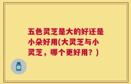 五色灵芝是大的好还是小朵好用(大灵芝与小灵芝，哪个更好用？)