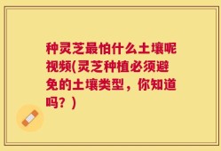种灵芝最怕什么土壤呢视频(灵芝种植必须避免的土壤类型，你知道吗？)