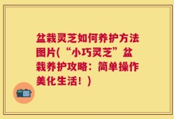 盆栽灵芝如何养护方法图片(“小巧灵芝”盆栽养护攻略：简单操作美化生活！)