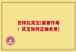 怎样拉灵芝(重要作用！灵芝如何正确食用)