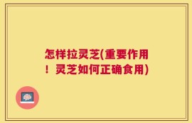 怎样拉灵芝(重要作用！灵芝如何正确食用)