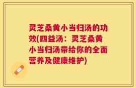 灵芝桑黄小当归汤的功效(四益汤：灵芝桑黄小当归汤带给你的全面营养及健康维护)