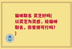猫咪取名 灵芝好吗(以灵芝为灵感，给猫咪取名，你觉得可行吗？)