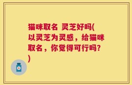 猫咪取名 灵芝好吗(以灵芝为灵感，给猫咪取名，你觉得可行吗？)