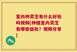 室内种灵芝有什么好处吗视频(种植室内灵芝有哪些益处？视频分享)