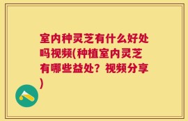 室内种灵芝有什么好处吗视频(种植室内灵芝有哪些益处？视频分享)