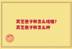 灵芝孢子粉怎么培植？灵芝孢子粉怎么种