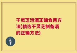 干灵芝泡酒正确食用方法(精选干灵芝制备酒的正确方法)