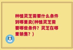 种植灵芝需要什么条件到哪里卖(种植灵芝需要哪些条件？灵芝在哪里销售？)