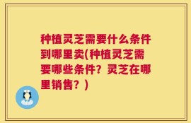 种植灵芝需要什么条件到哪里卖(种植灵芝需要哪些条件？灵芝在哪里销售？)