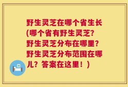 野生灵芝在哪个省生长(哪个省有野生灵芝？野生灵芝分布在哪里？野生灵芝分布范围在哪儿？答案在这里！)