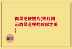 肉灵芝梗照片(照片揭示肉灵芝梗的珍稀之美)