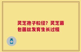灵芝孢子粒径？灵芝菌包菌丝发育生长过程