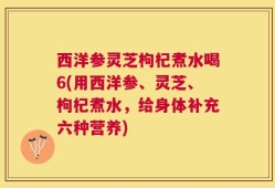西洋参灵芝枸杞煮水喝6(用西洋参、灵芝、枸杞煮水，给身体补充六种营养)