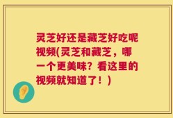 灵芝好还是藏芝好吃呢视频(灵芝和藏芝，哪一个更美味？看这里的视频就知道了！)