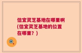 信宜灵芝基地在哪里啊(信宜灵芝基地的位置在哪里？)