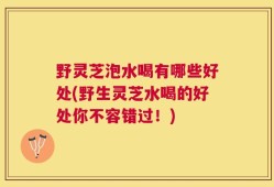 野灵芝泡水喝有哪些好处(野生灵芝水喝的好处你不容错过！)