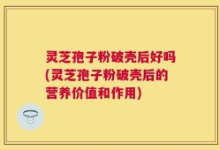 灵芝孢子粉破壳后好吗(灵芝孢子粉破壳后的营养价值和作用)