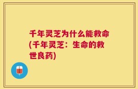 千年灵芝为什么能救命(千年灵芝：生命的救世良药)