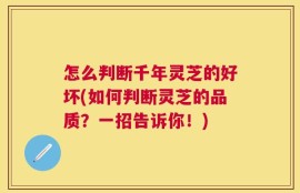 怎么判断千年灵芝的好坏(如何判断灵芝的品质？一招告诉你！)