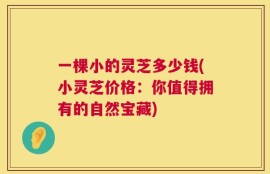 一棵小的灵芝多少钱(小灵芝价格：你值得拥有的自然宝藏)