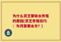 为什么灵芝要吸水养殖的原因(灵芝养殖技巧：为何需要水分？)
