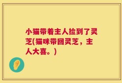 小猫带着主人捡到了灵芝(猫咪带回灵芝，主人大喜。)