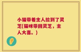 小猫带着主人捡到了灵芝(猫咪带回灵芝，主人大喜。)