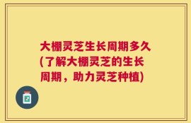 大棚灵芝生长周期多久(了解大棚灵芝的生长周期，助力灵芝种植)