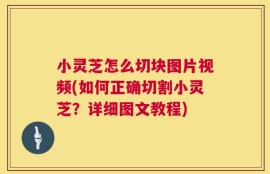 小灵芝怎么切块图片视频(如何正确切割小灵芝？详细图文教程)